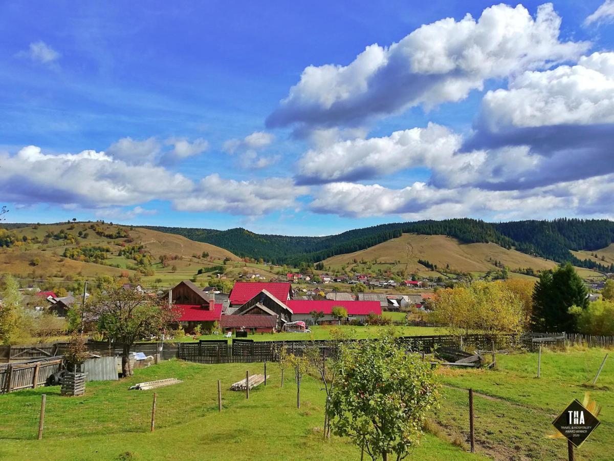 Casa Lacry Hotel Mînăstirea Humorului Exterior foto